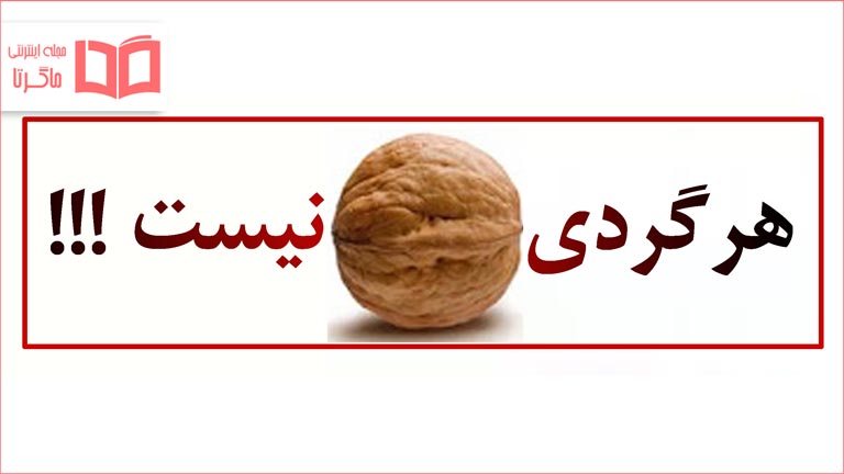 « هر گردی گردو نیست»