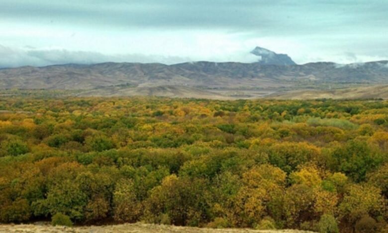 (نکته ها و گفته ها)   «تویسرکان چند سال قدمت دارد؟»